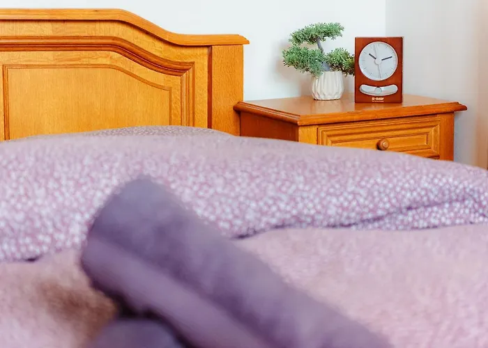 Promenada Old Town 아파트 부쿠레슈티