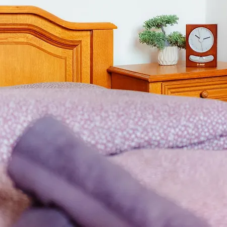 Promenada Old Town Apartment Bukarest